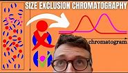 Size Exclusion Chromatography (SEC)