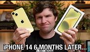 iPhone 14 - The Smart Choice… Unless (6 Months Later)
