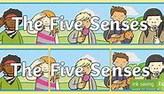 The Five Senses Display Banner