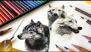 Beginning Colored Pencils Guide