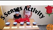 Five Senses Activity
