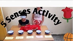 Five Senses Activity