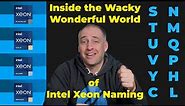 Wonderful World of Intel Xeon Scalable Platinum Gold and Silver Explained