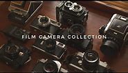 My Entire Vintage Film Camera Collection