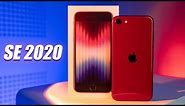 iPhone SE 2020-2022 in 2024