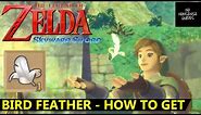 Skyward Sword Bird Feather - How to Get Bird Feather