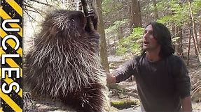 How to CATCH Nature's BIGGEST PRICK - The PORCUPINE