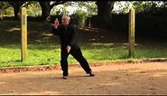 Wu Style tai chi Long Form by Michael W. Acton