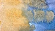 Textured Watercolor Paper with Gesso