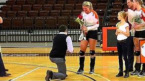 Best Volleyball Marriage Proposals (HD)