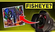 What Is a FISHEYE LENS? What Does a Fisheye Lens Do?