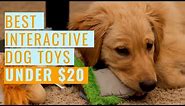 Best Interactive Dog Toys (Under $20)