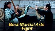 Best Martial Arts Fight Scene | New Bengali Dubbed Action Movie Scene | One Undefeated Warrior Scene