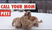 Call Your Mom | Mother's Day Pet Video Compilation 2017