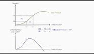 Introduction to Production Introduction (Average Product, Marginal Product, Total Product)