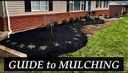 How to MULCH the Landscape | A COMPLETE GUIDE