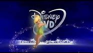 Disney DVD Logo (2014)