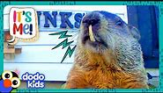 OH NO! This Groundhog’s Teeth Won't Stop GROWING! | Dodo Kids | It's Me!