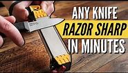 How to Sharpen ANY Knife RAZOR Sharp with Work Sharp Field Sharpener