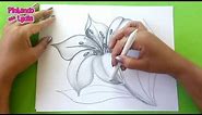 Dibujos A Lápiz Como Dibujar Una Flor / How To Draw A Flower