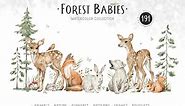 Forest Babies. Wild Animals clipart