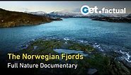 The Norwegian Fjords - Life in the Twilight | Full Nature Documentary