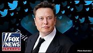 'Chief Twit' Musk to unlock the Twitter jail, create council with diverse view points