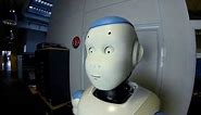 Humanoid Robot Romeo Head-Eyes System