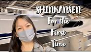 Shinkansen for the first time... How???(Tokyo Station to Shin-Osaka station- Osaka Castle) part 1