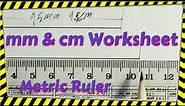 Metric Ruler Worksheet: Teachers and Students help learn Measuring
