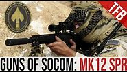 Guns of SOCOM: The Mk12 Special Purpose Rifle