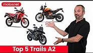 Top 🖐️ trails A2, ideales para principiantes / Review 4K /motos.net