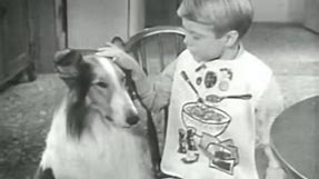 1959... Lassie sponsored by Campbell's Pork and Beans | Daily Historical Pictures and Videos
