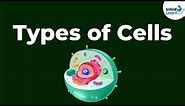Types of Cells | Don't Memorise