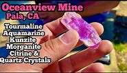 Oceanview Mine Pala California - Aquamarine, Quartz Crystals, & Tourmaline digging + mine tour