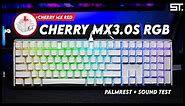 CHERRY MX BOARD 3.0S RGB Review - MX RED Switch | Samuel Tan