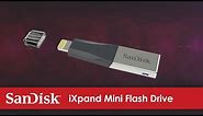 The iXpand Mini Flash Drive for iPhone