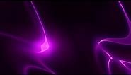 Live Wallpaper Purple Light Lines Motion Background Video 4K