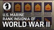 U.S. Marine Rank Insignia of WW2
