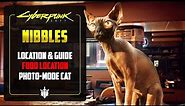 How To Find Nibbles in Cyberpunk 2077 | Cat Food AND Secret Shard Location!