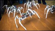 Robot Spiders Controlled by Intel's Edison Chip