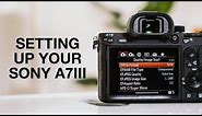 How To Set Up Sony A7III - Complete Menu Settings Guide