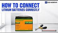 How to Connect 12V 50Ah Lithium Battery? | ECO-WORTHY