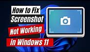 How to Fix Screenshot Not Working in Windows 11 | Print Screen Not Working
