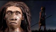 A Brief History Of The Most Successful Human Species: Homo Erectus
