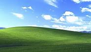 Windows XP Bliss Wallpaper