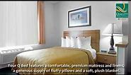 Quality Inn & Suites - Springfield HotelL, Illinois