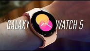 Galaxy Watch 5: If only it had a battery