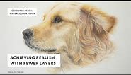 Drawing a Golden Retriever Dog. Beginner Coloured Pencil Tutorial #petportrait