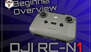 Beginner's Guide to the DJI RC N1 (DJI Mini 2) Controller
